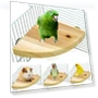 Thumbnail Fan-Shaped Platform Station Board Hamster Springboard Rest Platform — Toys, Parrot Log