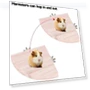 Thumbnail Fan-Shaped Platform Station Board Hamster Springboard Rest Platform — Toys, Parrot Log