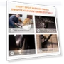 Thumbnail Grandstorm Retractable Vacuum Cleaner — Wet-Dry Vacuums, Giraffe Tools