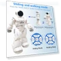 Thumbnail Gesture Sensing Programmable Dancing Robot — Interactive Figures & Robots, Cabhuti