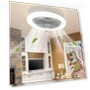 Ceiling Fan with Remote Control and LED Light — Ceiling Fans, Actually lighting