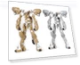 Robot Perfume Fafner Mark Neun Mark Zehn Web — Sets, Bandai