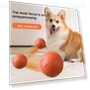 Interactive Smart Ball for Pets — Cat Playthings, yuezong