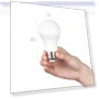 Thumbnail Dusk to Dawn Sensor LED Outdoor Light Bulb — LED, Amazon Basics