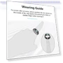 Thumbnail Sizing Kit for Smart Ring — Smart Rings, Shenzhen Lanxi Technology Co., Ltd