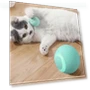 Smart Chase Trainer — Cat Playthings, wangke
