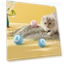 Automatic Rolling Ball Cat Toy — Cat Playthings, Smarrt home