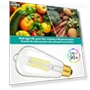 Thumbnail Vintage LED Edison Light Bulbs — Incandescent, Brightever