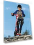 Thumbnail Pro RDS Dirt Scooter — Scooters & Gear, Razor