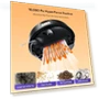 Thumbnail Robot Vacuum and Mop with Self-Emptying — Smart Cleaning Robots, Roborock