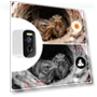 Thumbnail Smart Bird House with Camera — Outdoor & Wildlife Cameras, Hiyiton