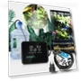 Humidifier with Touch Control — Air Moisturizers, Fairy Angel
