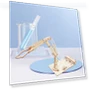 Hydraulic Robotic Arm 3D Wooden Puzzle — Educational, SunshineTek
