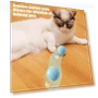 Automatic Rolling Ball with Light — Cat Playthings, Love Pet House