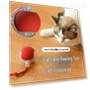 Automatic Self-Entertainment Toy for Kittens — Cat Playthings, TrendVibeCN