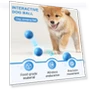 Interactive Pet Ball Toy — Interactive Animal Companions, Uomobo