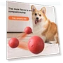 Interactive Pet Toy Ball — Interactive Animal Companions, yangyizhi