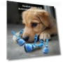 Smart Automatic Moving Ball Squeaky Dog Toy — Balls, Easy Fitness