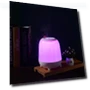 Thumbnail Ultrasonic Cool Mist Humidifier with Nightlight — Air Moisturizers, Sibosz