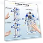 Thumbnail Intelligent Programmable Robot with Infrared Controller — Interactive Figures & Robots, ShanTou Shi ChengHai Qu ZhongYi WanJu ShiYe YouXian GongSi
