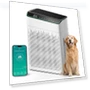 Thumbnail Large Room Air Purifier with Smart WiFi — Activated Carbon Air Purifiers, FLANUR
