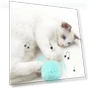 Interactive Ball — Cat Playthings, Wrigleys