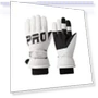 Winter Touchscreen Ski Gloves — Gloves & Mittens, Warm Land