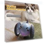 Interactive Smart Toy for Cats — Cat Playthings, Honwei