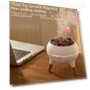 Essential Oil Diffuser with LED Light — Diffusers, Blissful Living