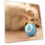 Automatic Rolling Cat Toy — Cat Playthings, Home Furnishing Department Mall