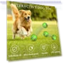 Interactive Dog Toy Ball — Balls, Dainty