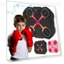 Bluetooth Smart LED Boxing Training Target — Boxing Training Gear, charman