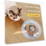 Interactive Cat Toy Ball — Cat Playthings, fanweixi
