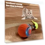 Interactive Cat Toy Ball — Cat Playthings, Boyhood