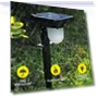 Solar Light Outdoor Garden LED Solar Landscape Spotlights — Garden Illumination, Explorer Outdoors