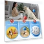 Interactive Pet Ball Toy — Interactive Animal Companions, DODO Beauty