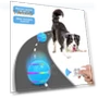 Electric Rolling Ball Toy for Dogs — Automatic Launchers, Beautybay