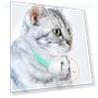 Smart teasing collar for cats — Cat Playthings, mujin