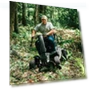 Thumbnail Baja Wrangler 2 Outdoor Scooter — Mobility Scooters, Pride Mobility