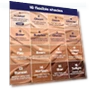 Thumbnail Tinted Moisturizer SPF 50 — Tinted Beauty Balms, ALLEYOOP