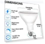 Thumbnail LED Flood Light Bulb — Outdoor Security & Flood Lighting, ENERGETIC SMARTER LIGHTING