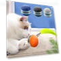 USB Rechargeable Cat Interactive Ball Rotating Smart Kitten Chewing Toy — Cat Playthings, Zhonghefu