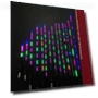 Ultra-sensitive LED Smart Fishing Float — Bite Indicators, hongliang