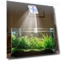 Aquarium LED Clip Light with 360° Rotation — Lights, Jiaqiinfee