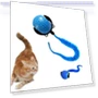 Automatic Training Ball — Cat Playthings, SHshuaizhen