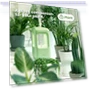 Thumbnail Mini Humidifier — Air Moisturizers, Winben