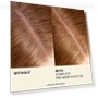 Thumbnail Complete Hair and Scalp Oil With Rosemary — Hair & Scalp Care, JVN