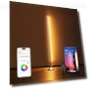 Thumbnail Smart LED Floor Lamp — Standing Lights, NEEWER