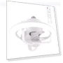 Ceiling Fan with Remote Control — Ceiling Fans, Pleasure Holiday