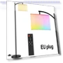Smart Floor Lamp WiFi LED Modern RGB Adjustable — Standing Lights, Build My Home